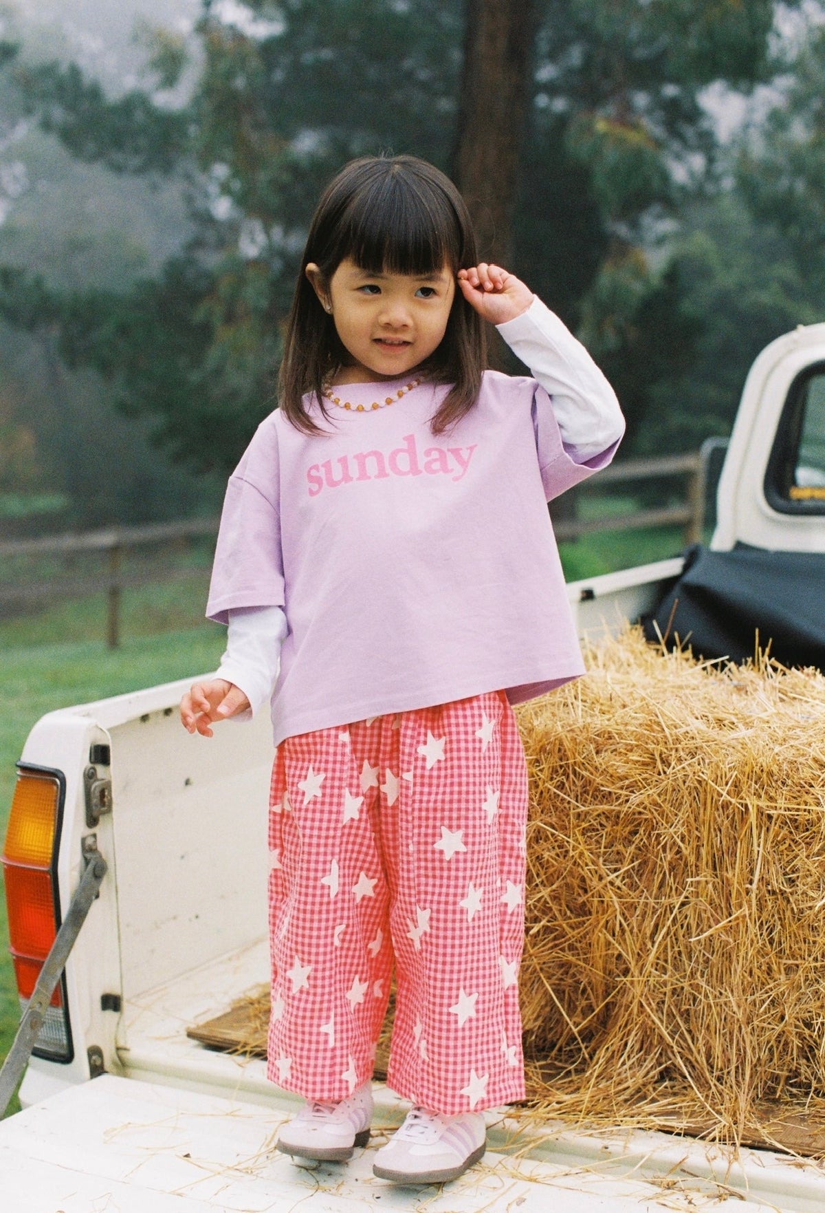 Dusty Star Pants - Pink Gingham