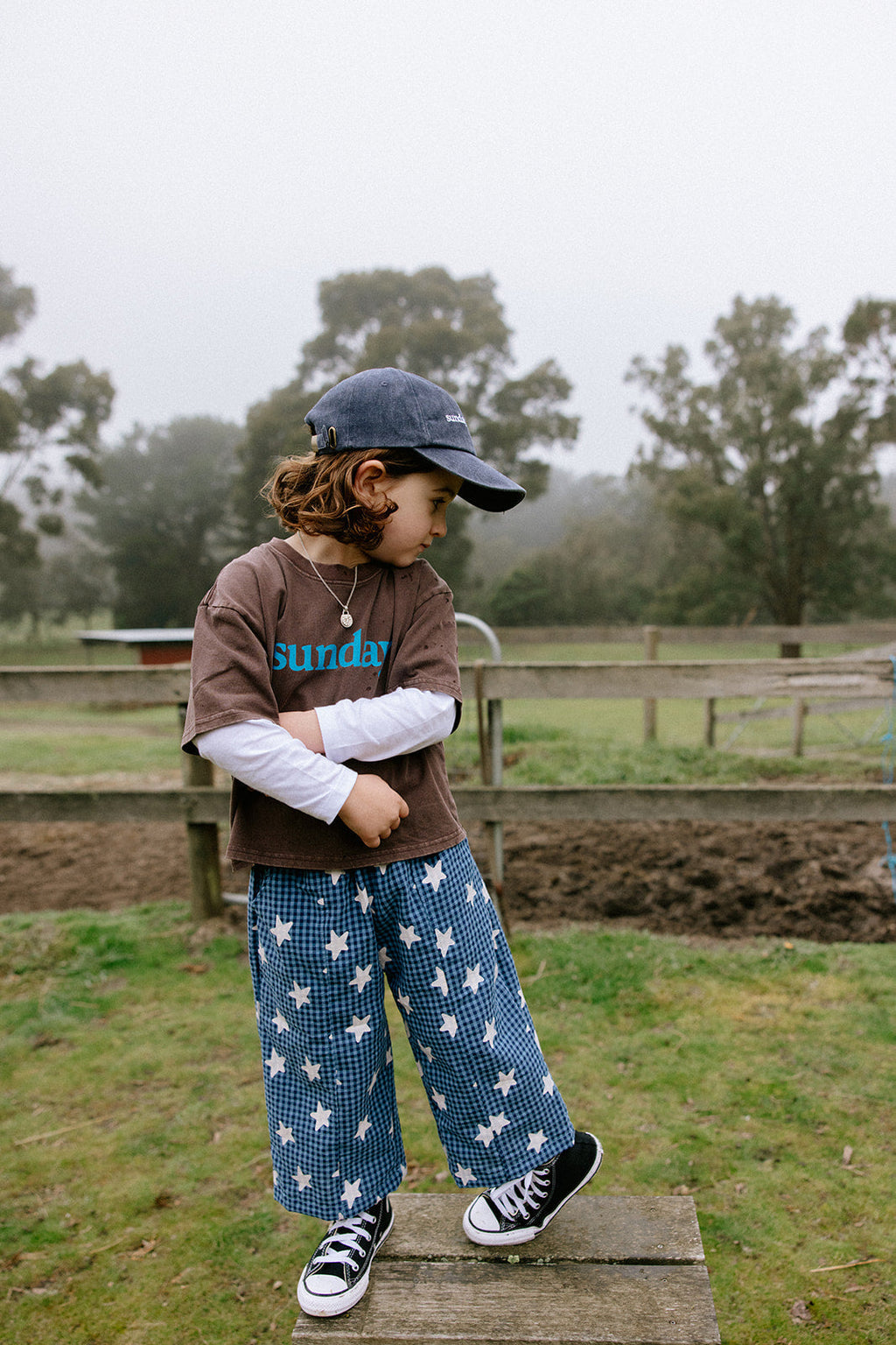 Dusty Star Pants - Blue Gingham