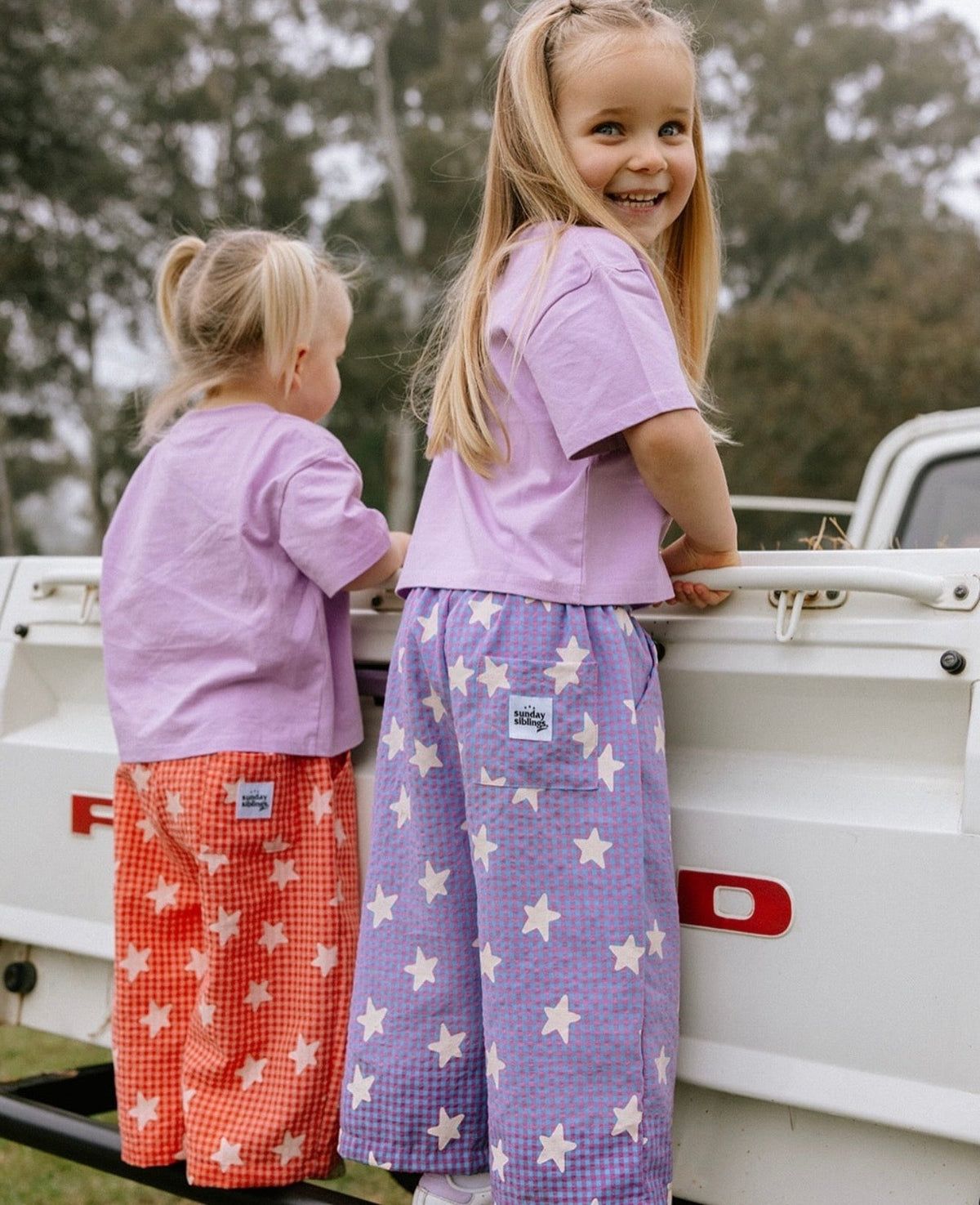 Dusty Star Pants - Purple Gingham
