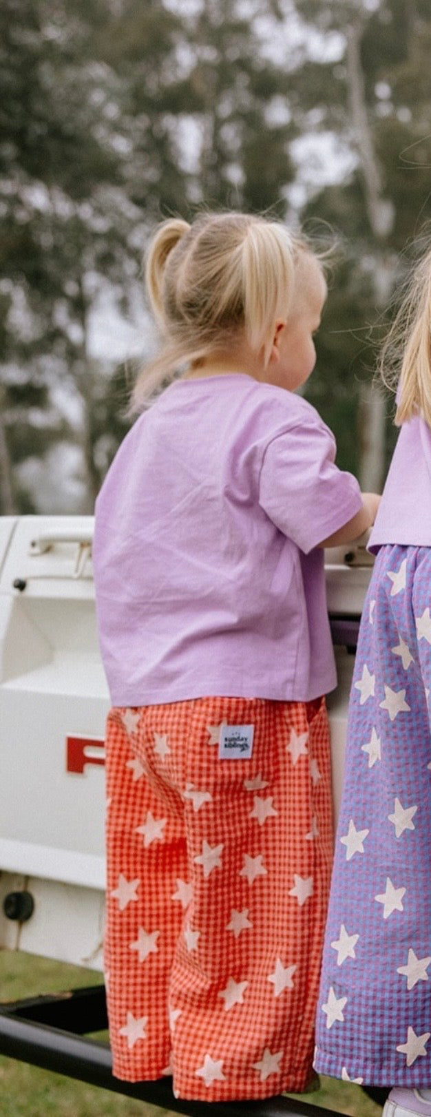 Dusty Star Pants - Pink Gingham