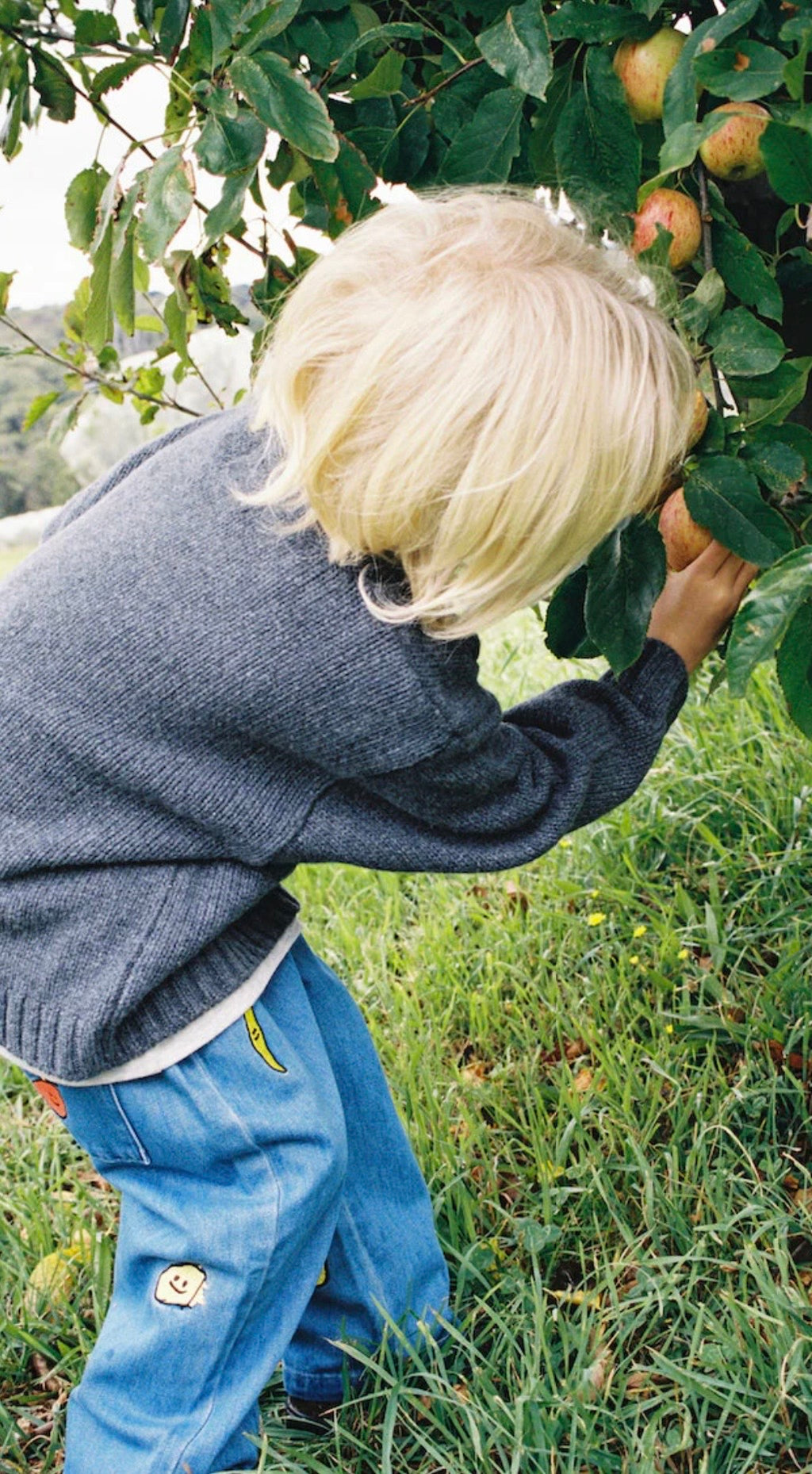 GROWN Organic Fruit Salad Denim Pants