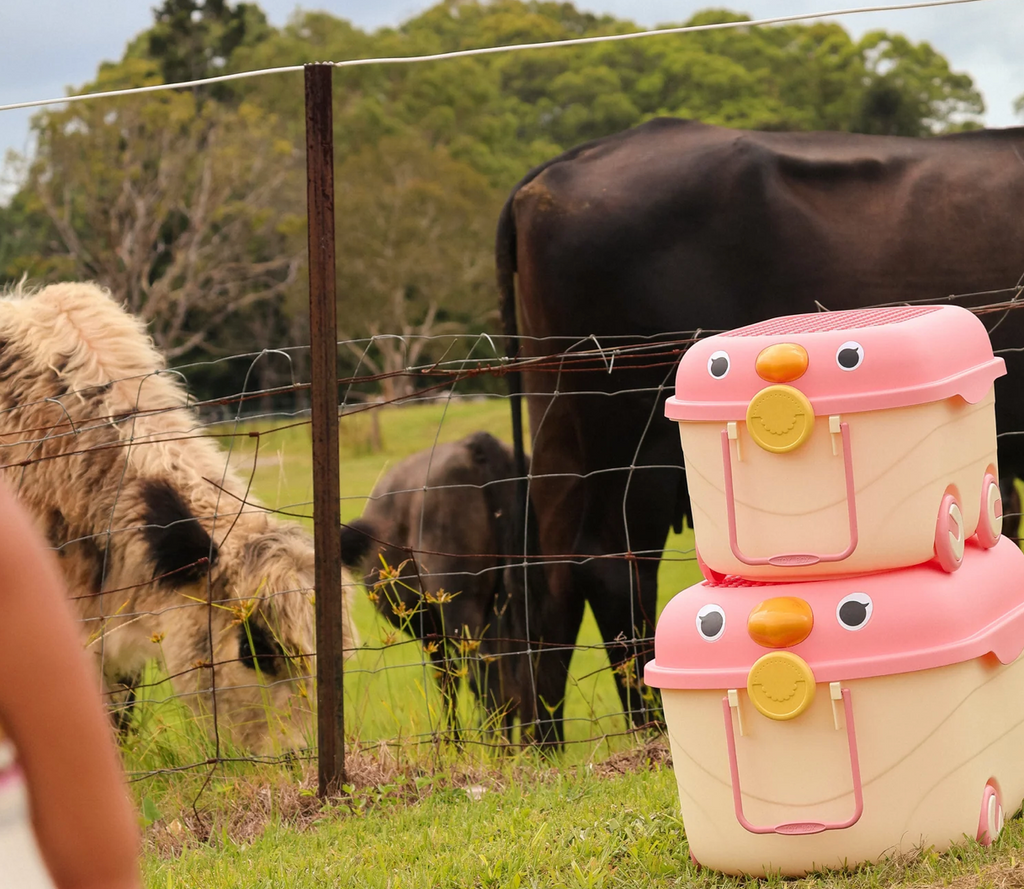 'Ride a Long Storage' - Pink Cordial Tweet Tweet - Medium